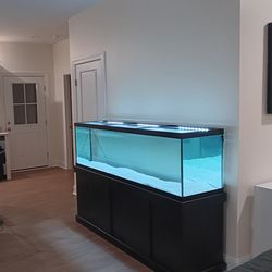 125 Gallon Fish Tank/Base/Pumps