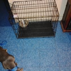 New Puppy Cage 