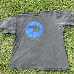 Vintage 90s Thundercats promo size XL (Many pin holes all over)