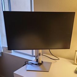 Dell Flat Panel Monitor