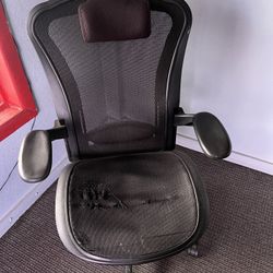 Office Chairs