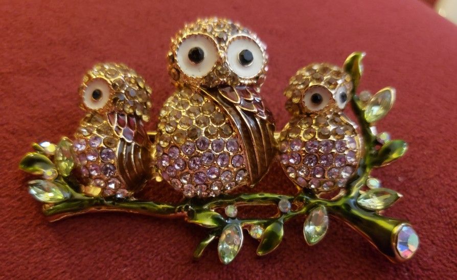 Napier Three Owls On A Branch