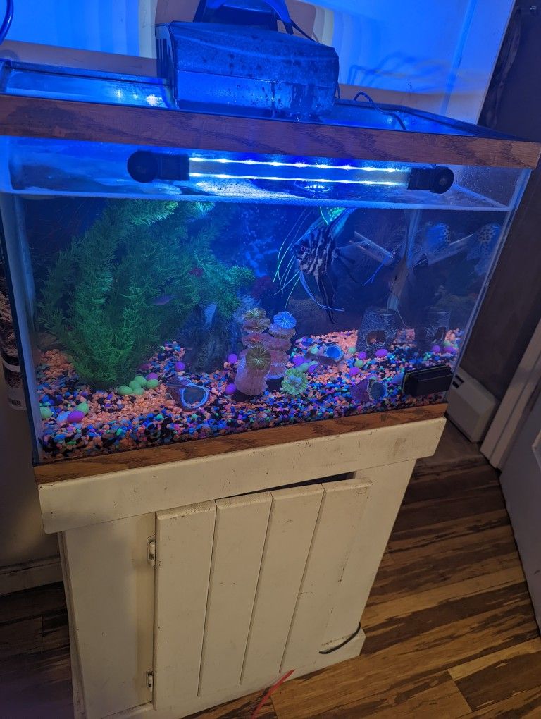 30 Gal With Everything 