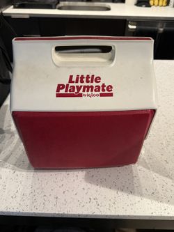 Small Cooler