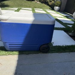 Blue Cooler