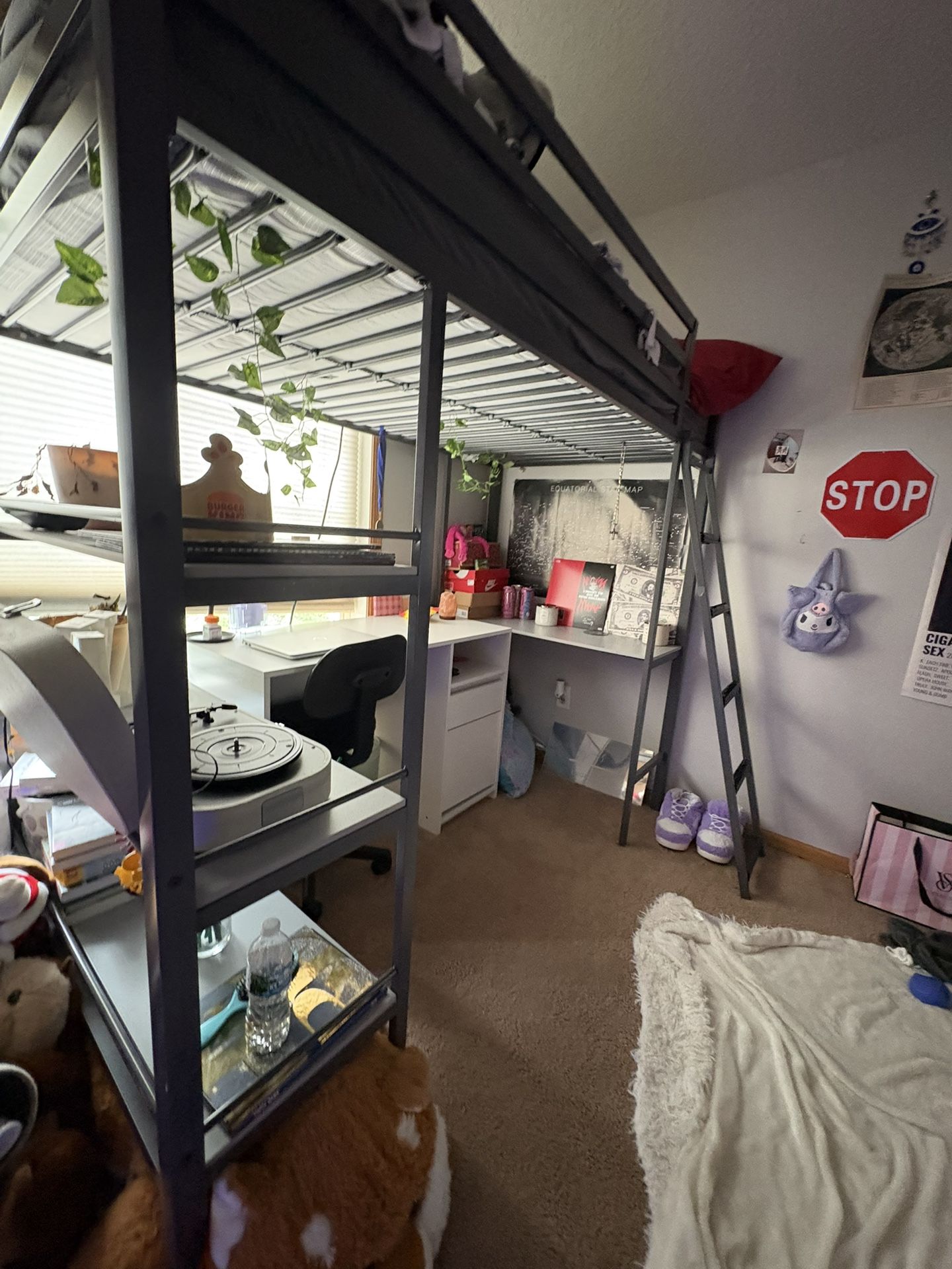 Kids Medium Loft Bed Built In Desk Black