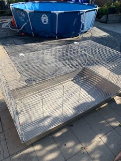 Guinea pig cage