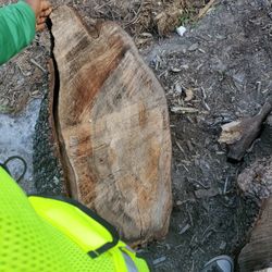 Oak Wood Chop(barks)