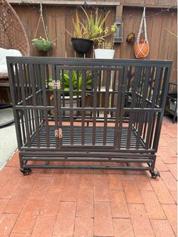 Dog Crate