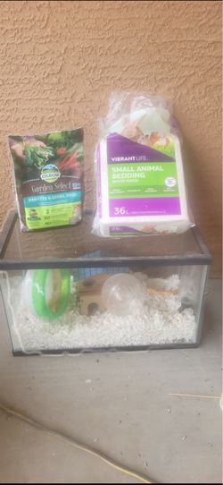 Glass aquarium setup for hampster or mice