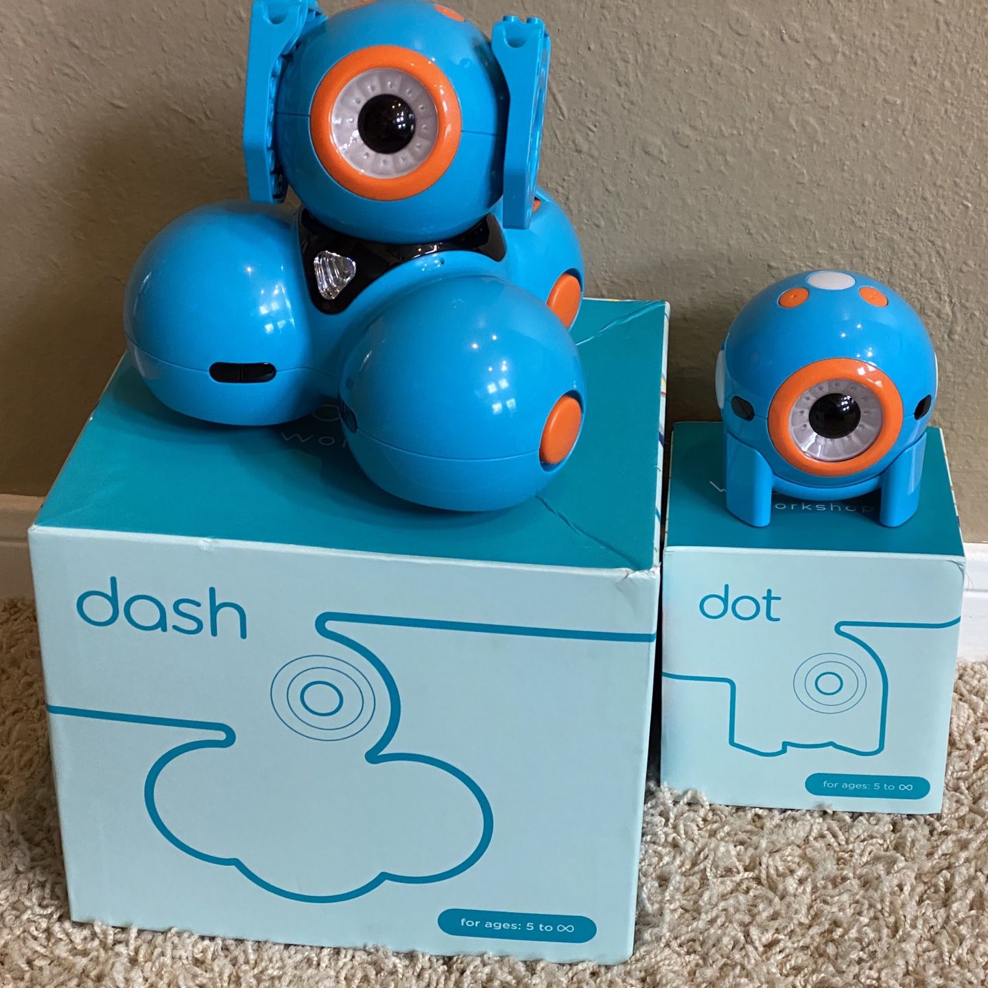 Make Learning Fun For Children With Wonder Workshop Interactive Robots