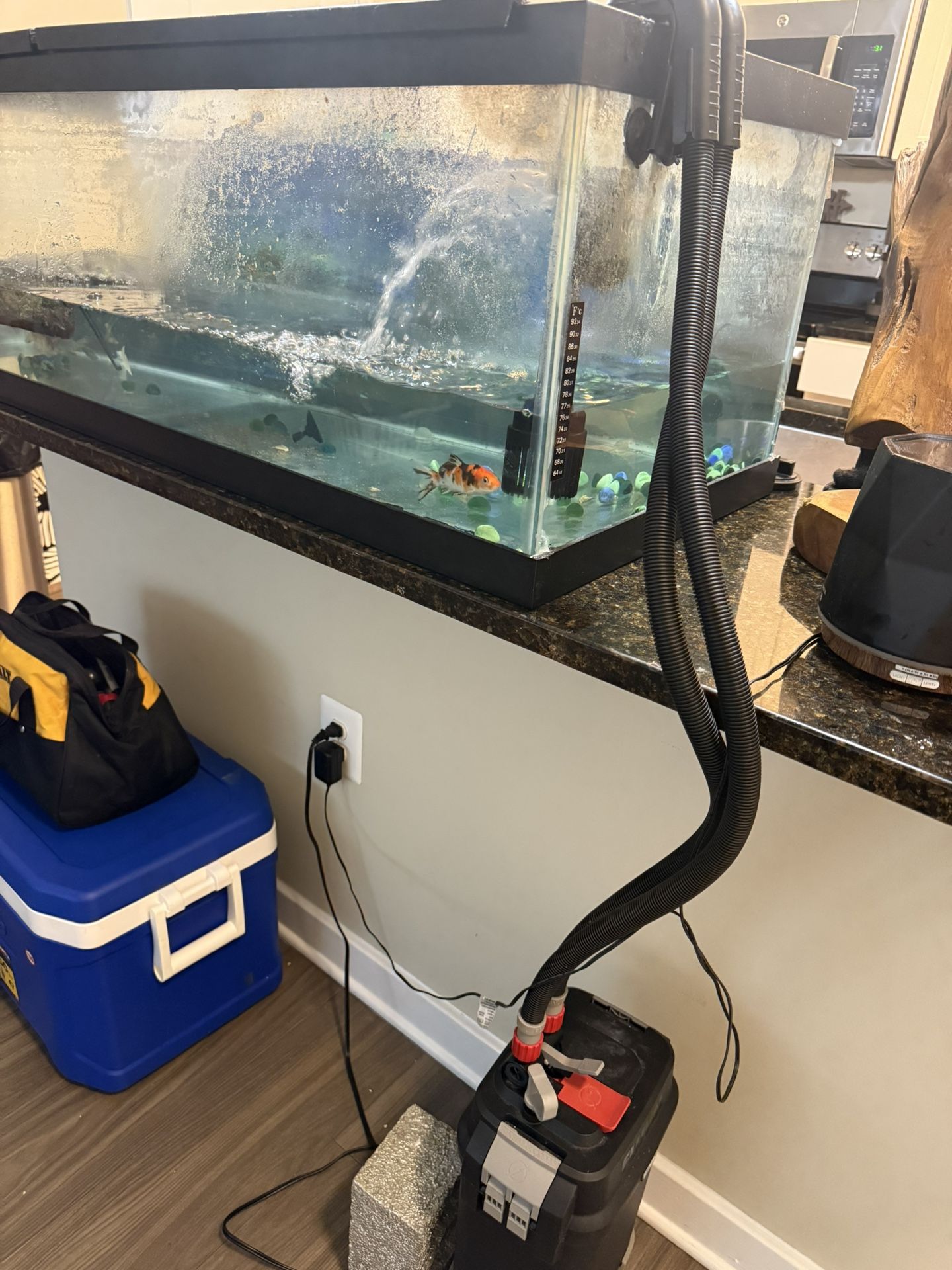 60 GALLON TANK 