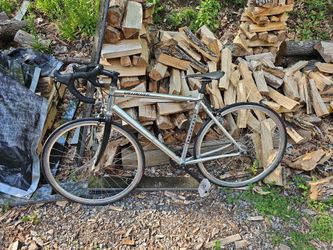 Specialized Langster