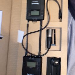 Sarminic Mic