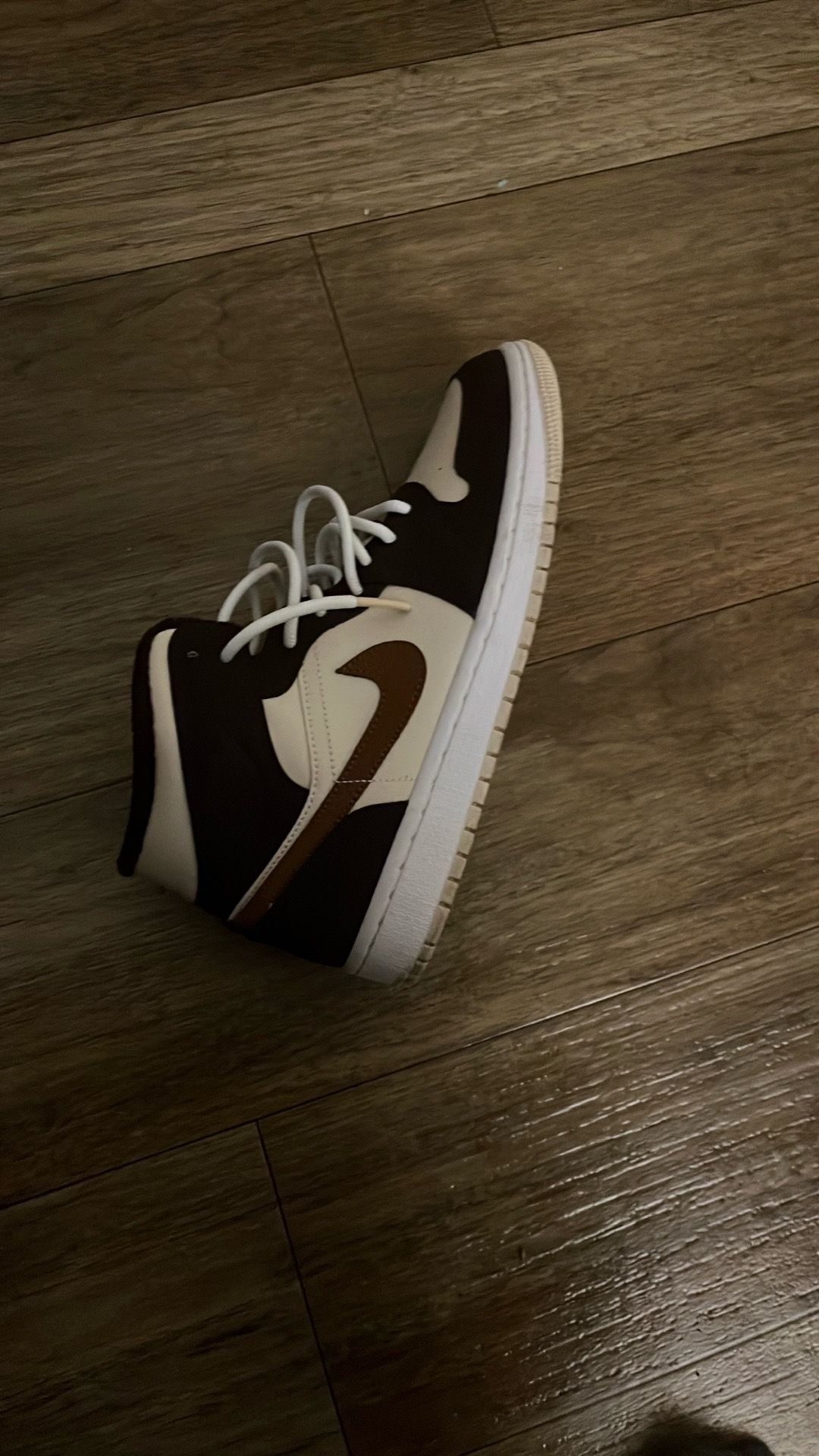 jordan 1 brown/basalt oat meals