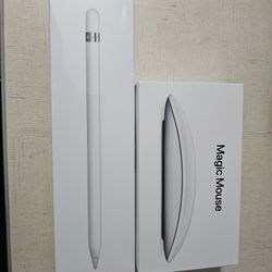 Apple Pencil & Magic Mouse 