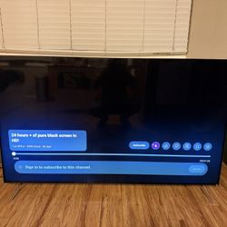 Vizio 65in TV