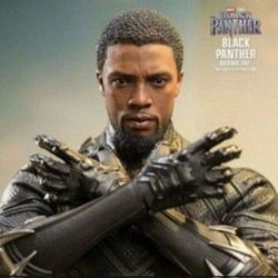 Hot Toys 🔥 Black Panther 