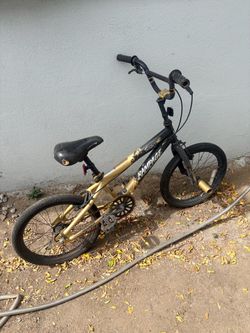 Free bike