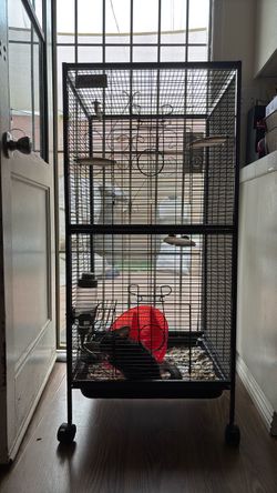 Cage and all included