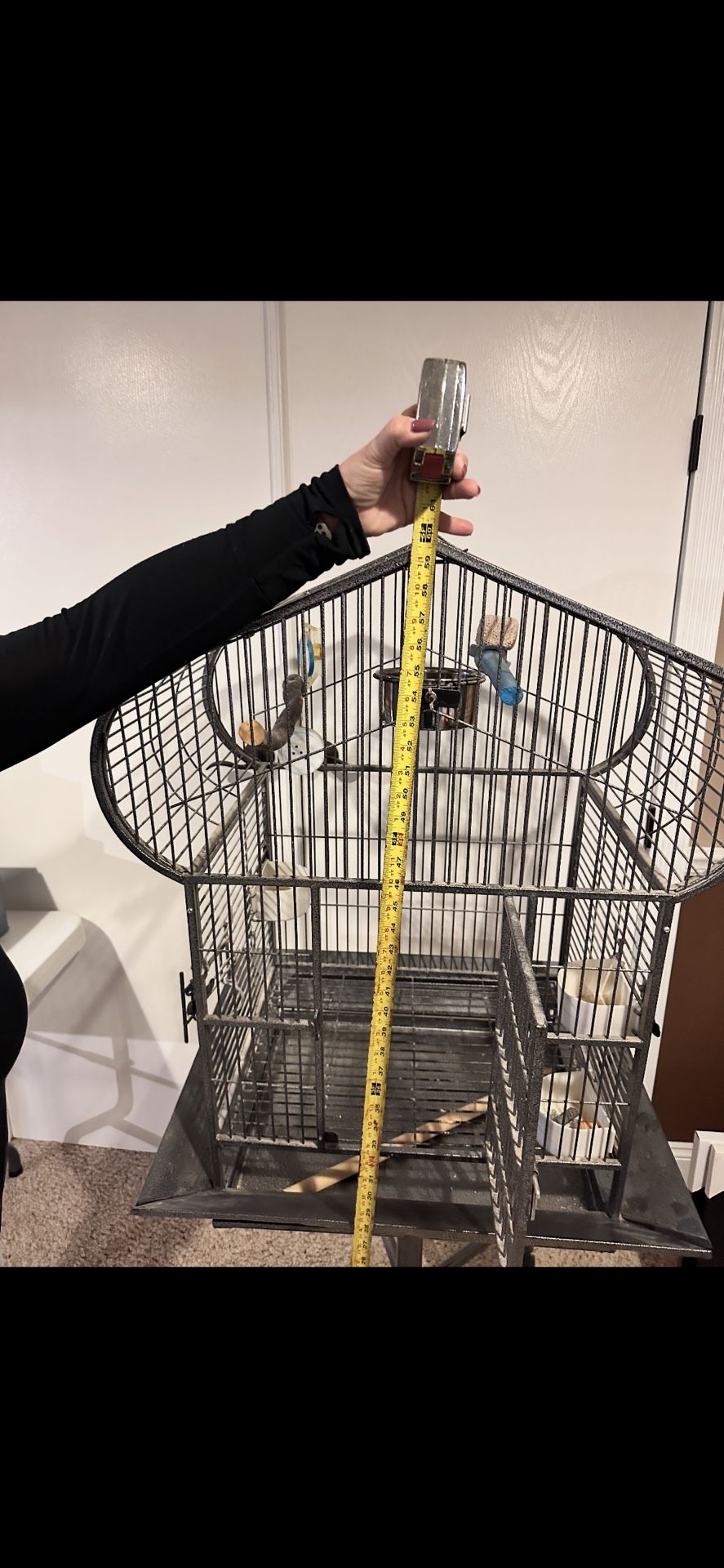 Bird Cage