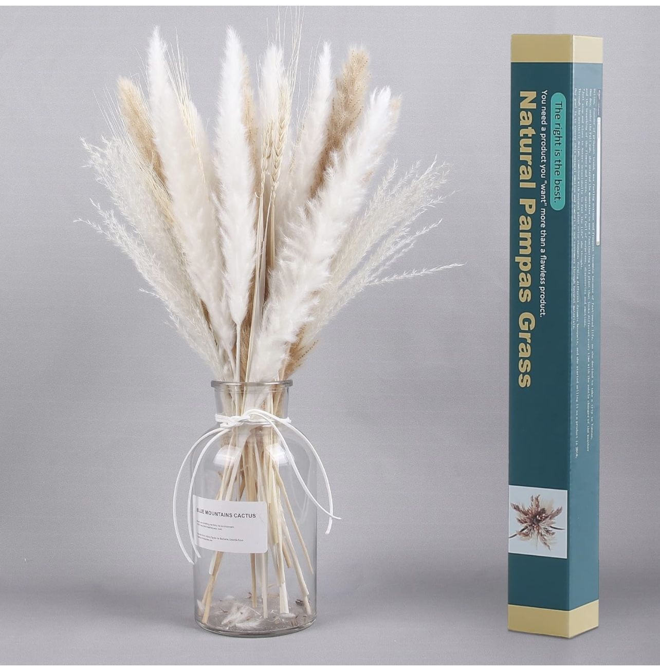 Pampas Grass, 35PCS 17.5"