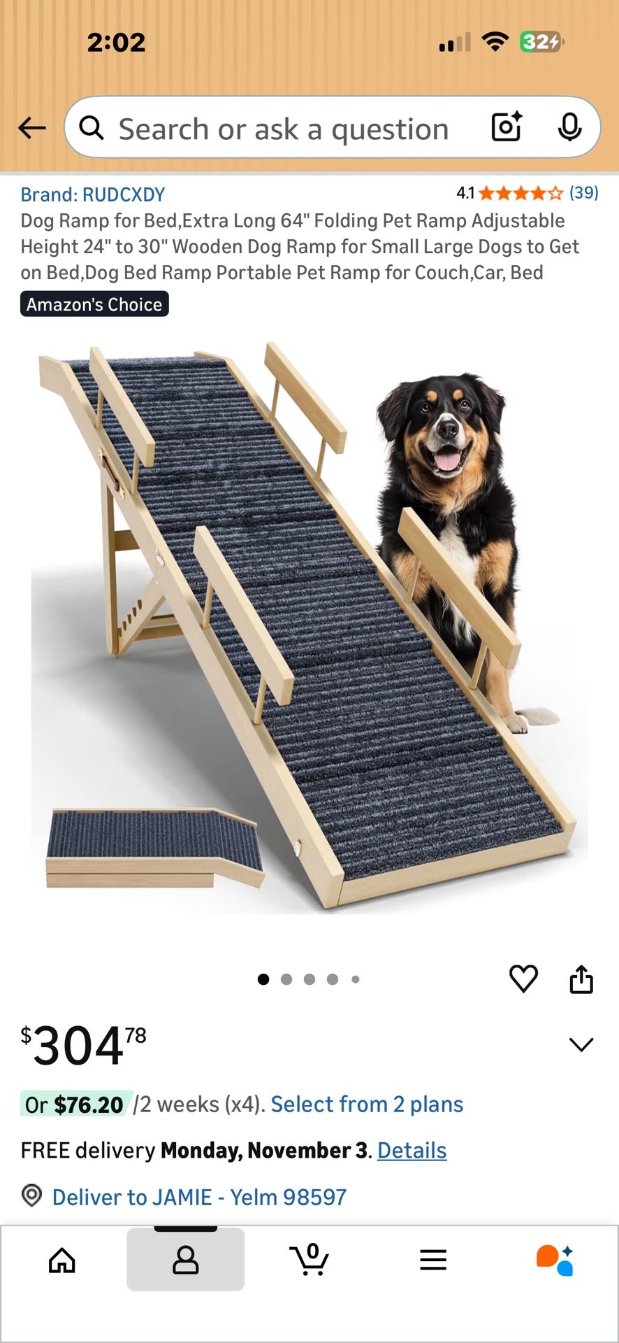 Large Dog Ramp