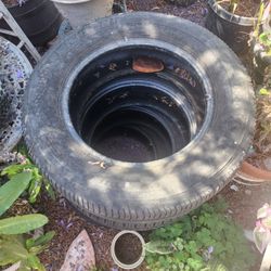 Michelin Tires