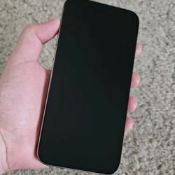 Spread Gift for New Year's