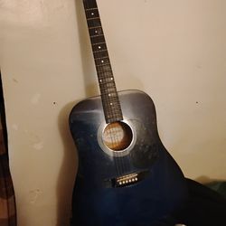 Johnson Guitar 