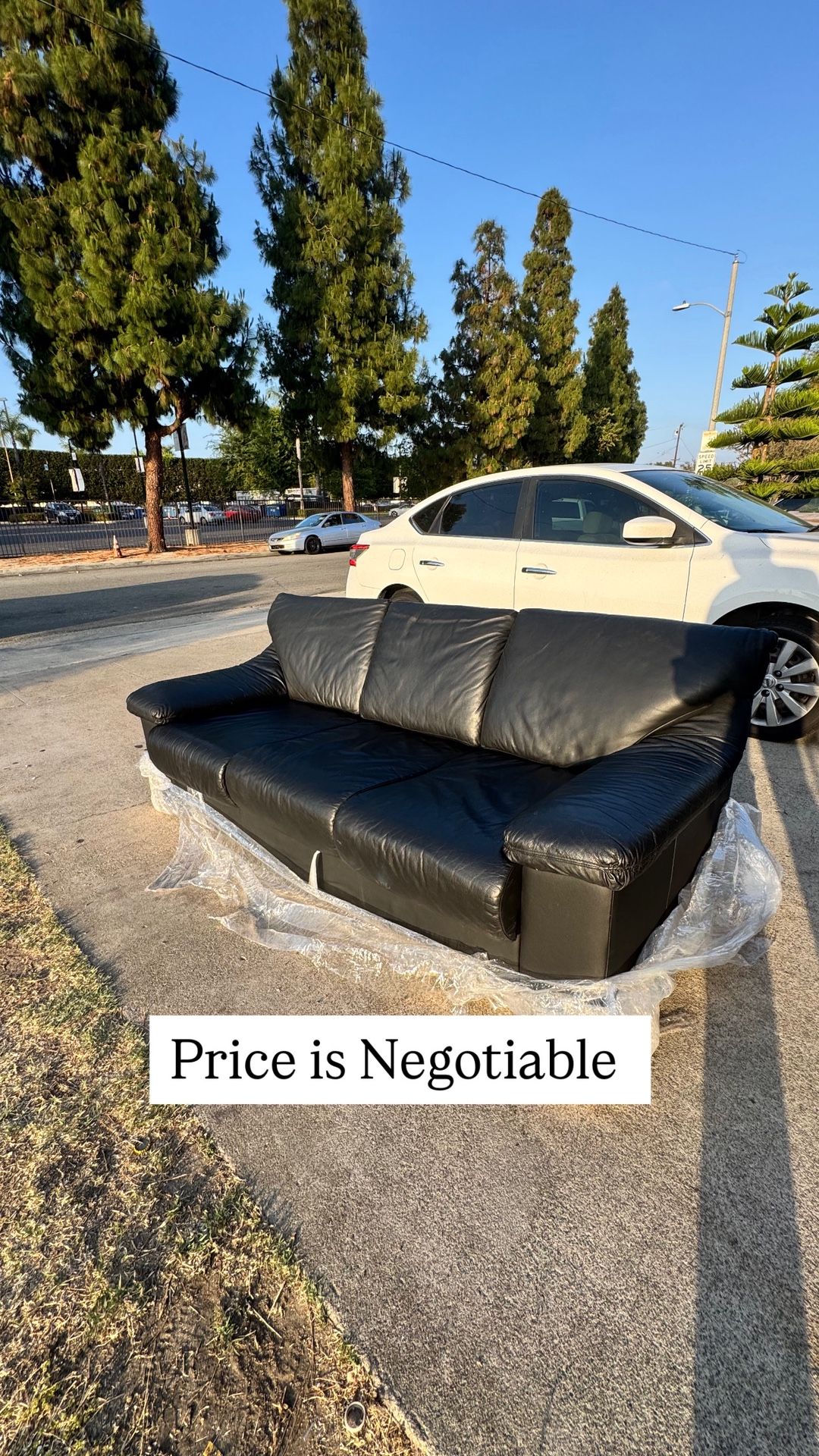 Leather Sofa / Bed