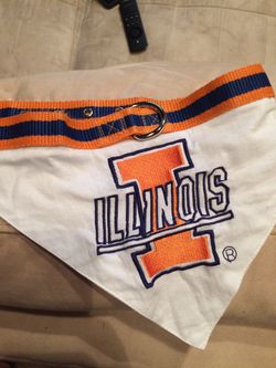 Illinois dog scarf bandana