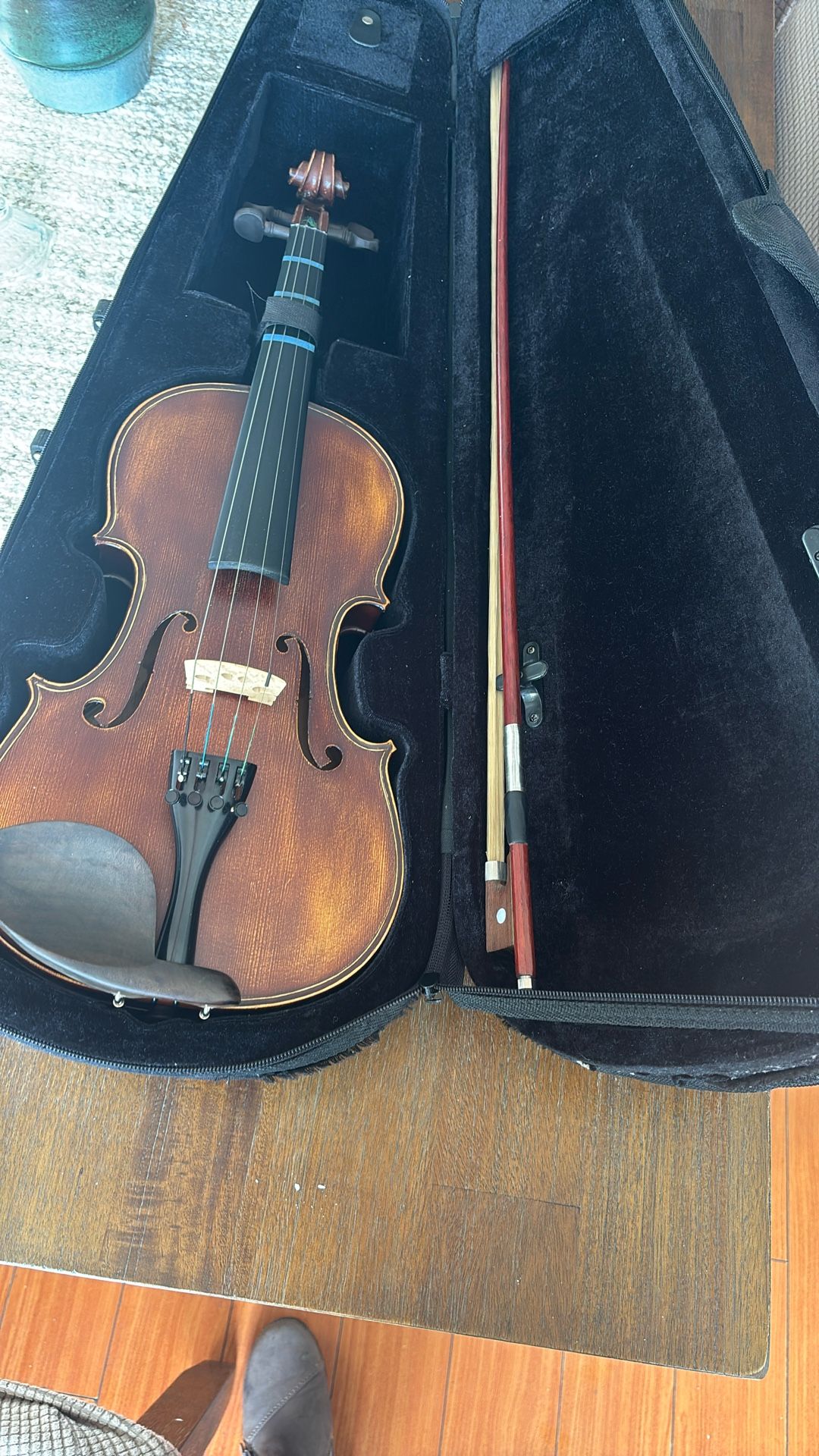 Violin