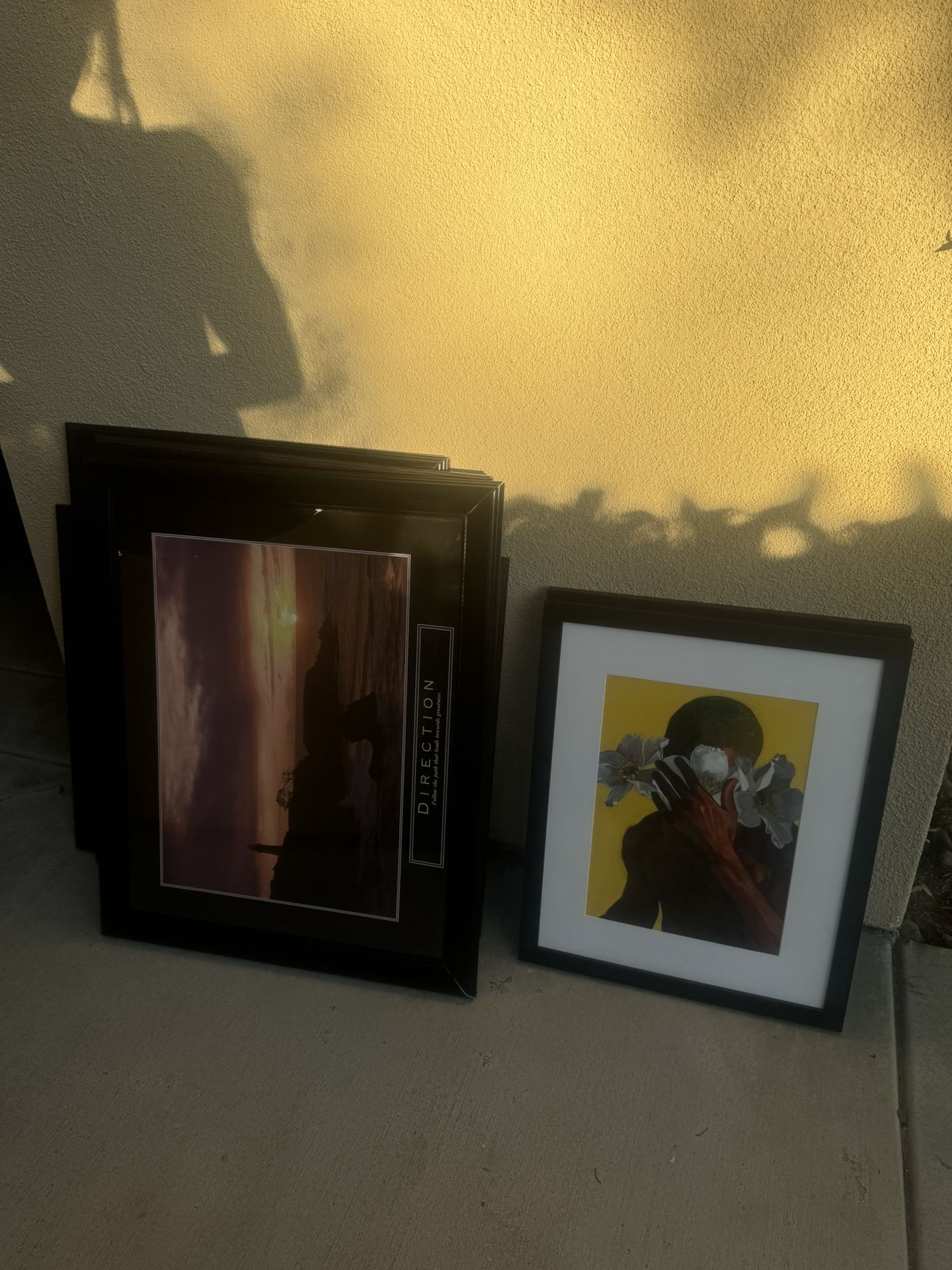 Framed Poster/Pictures