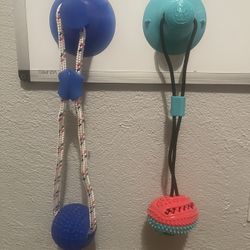 Suction Cup Dog Play Toy And Ball