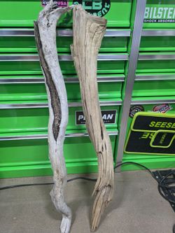 driftwood