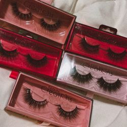 Brand new lashes (Beauty Creations)