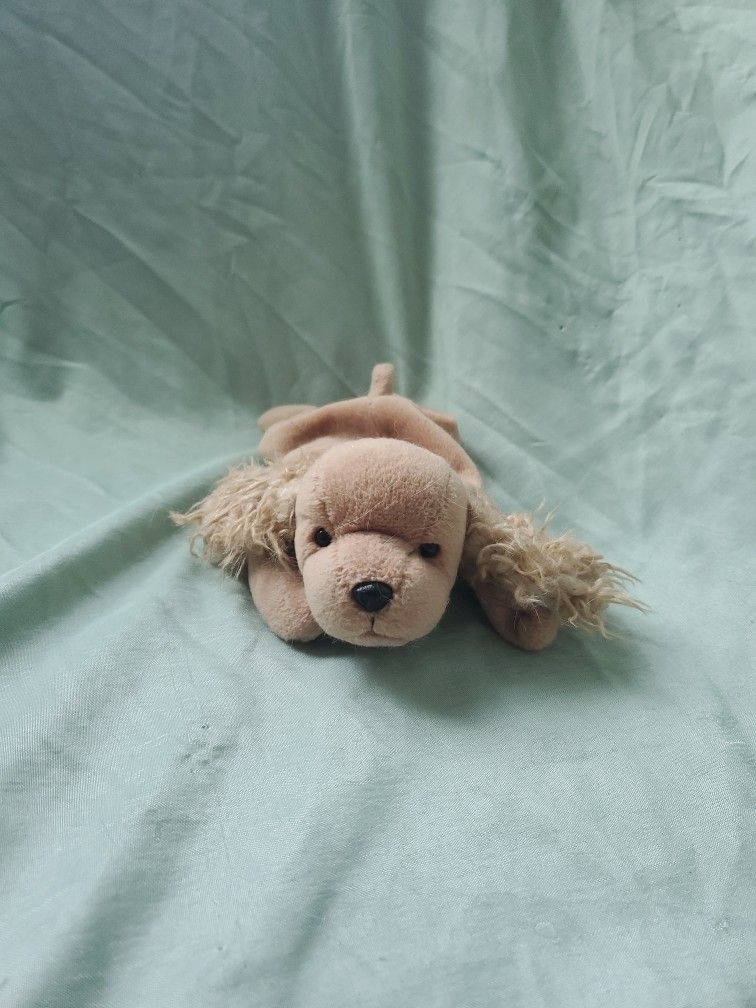TY Beanie Baby, Spunky The Spaniel, Vintage Without Tag