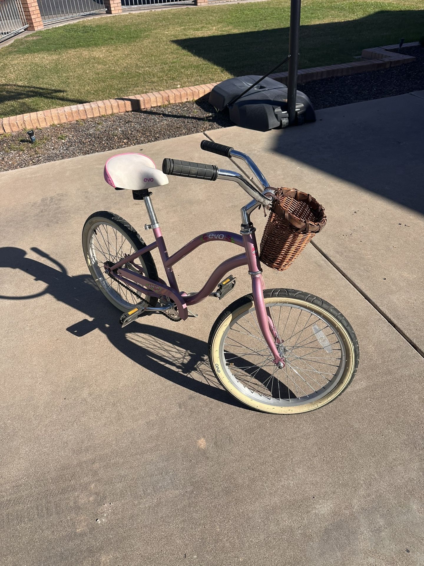 Girls 20 Inch Bicycle