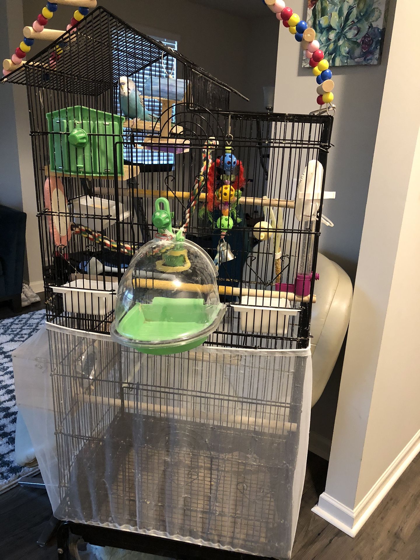 Bird Cage And All Accessories 