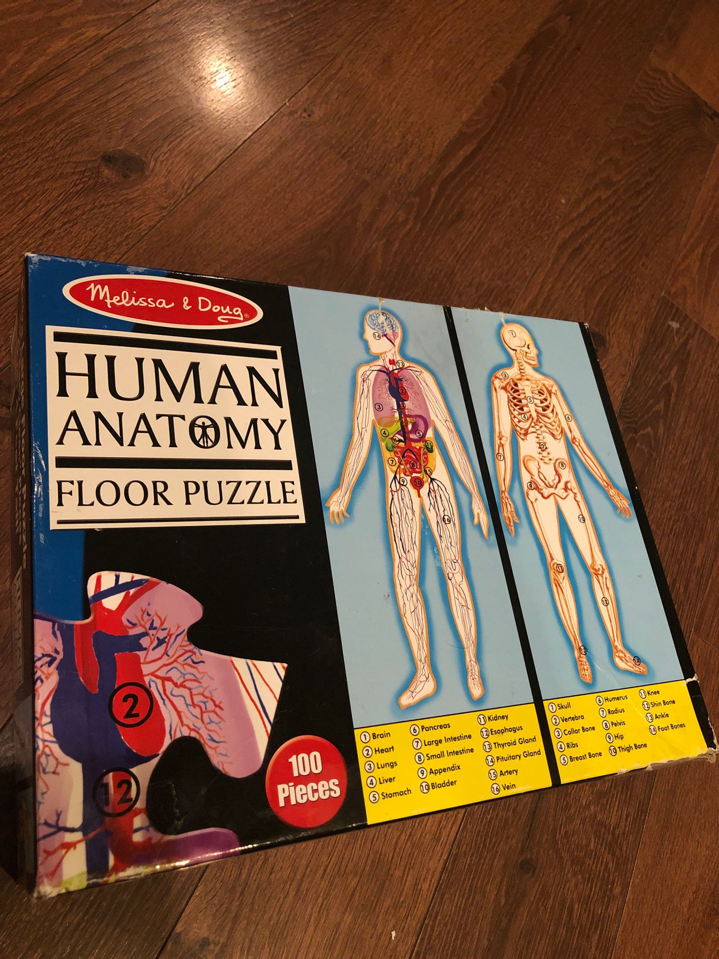 Melissa and Doug human anatomy floor puzzle - homeschool - . Recommended for ages eight and up