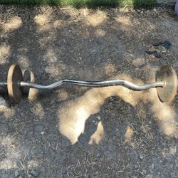 Standard Curl Bar