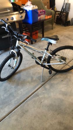 Raleigh Bike