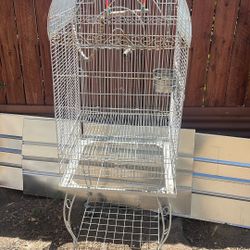 Bird Cage