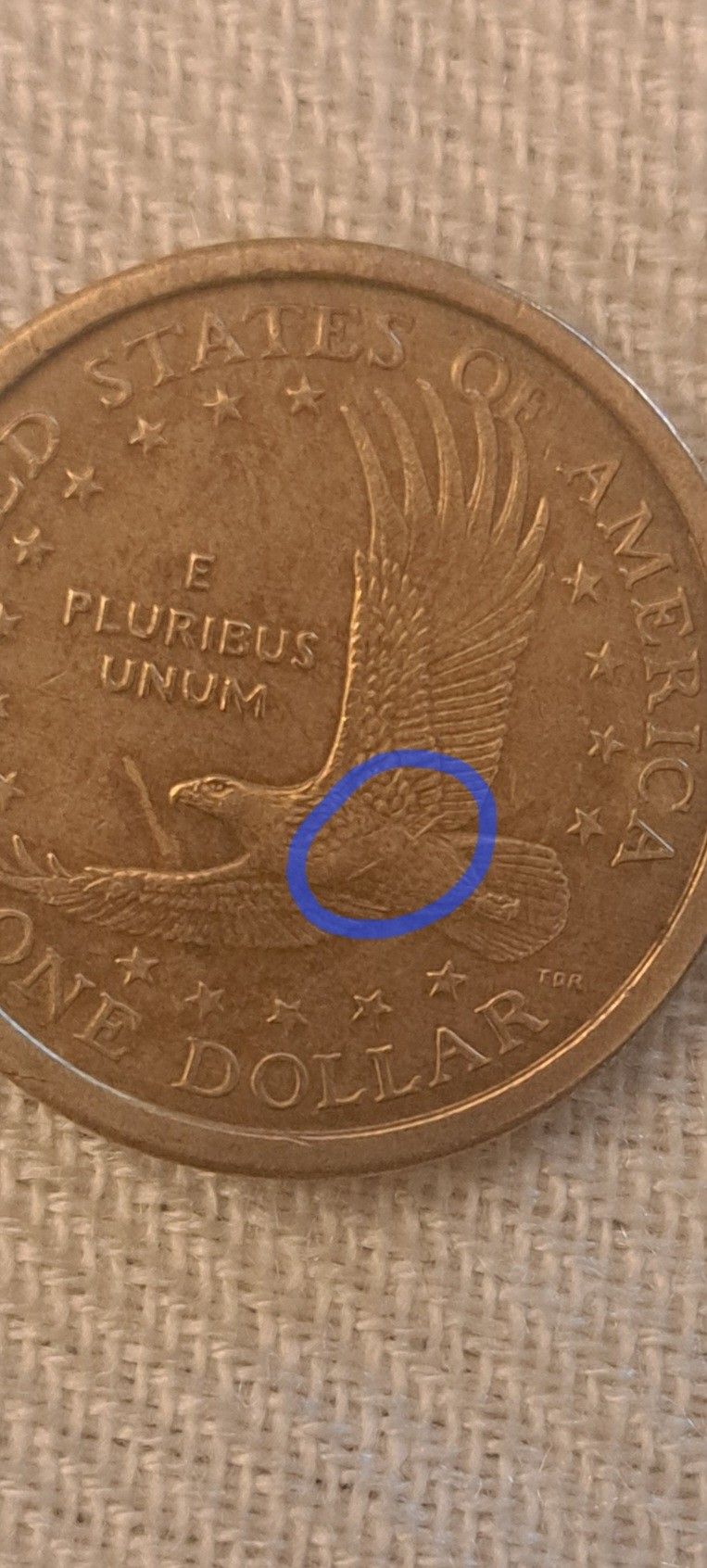 Sacagawea Dollar Wounded Eagle Coin