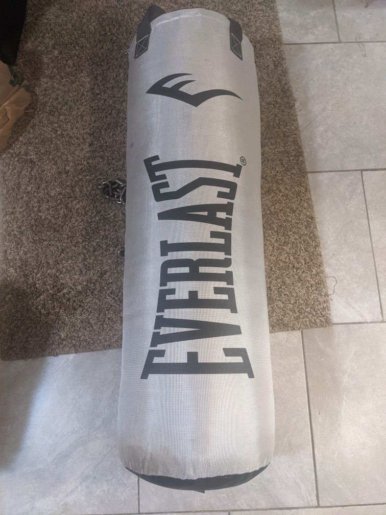 Everlast Platinum Punching Bag With Chain