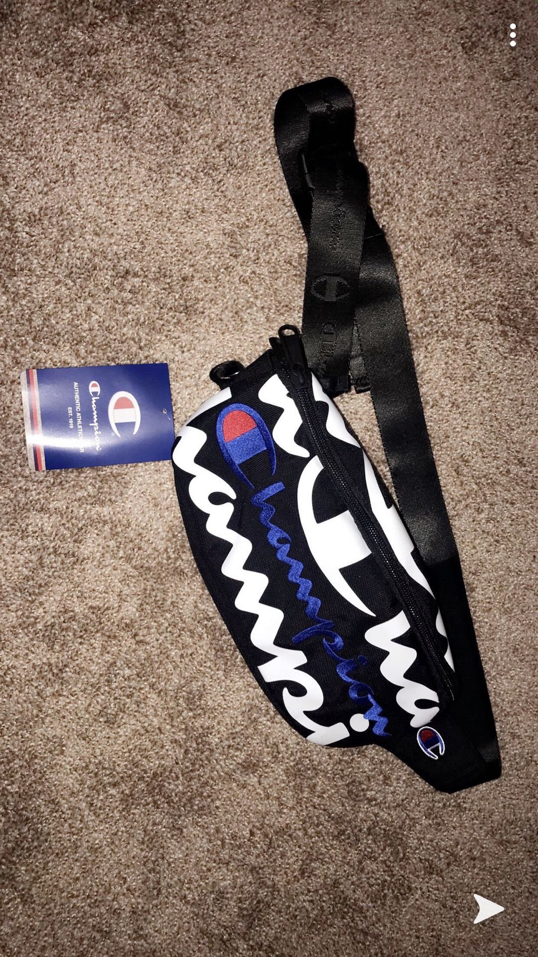 Champion fanny pack