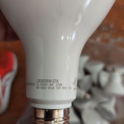 Light Bulb L9-BR30D 8w 2700k