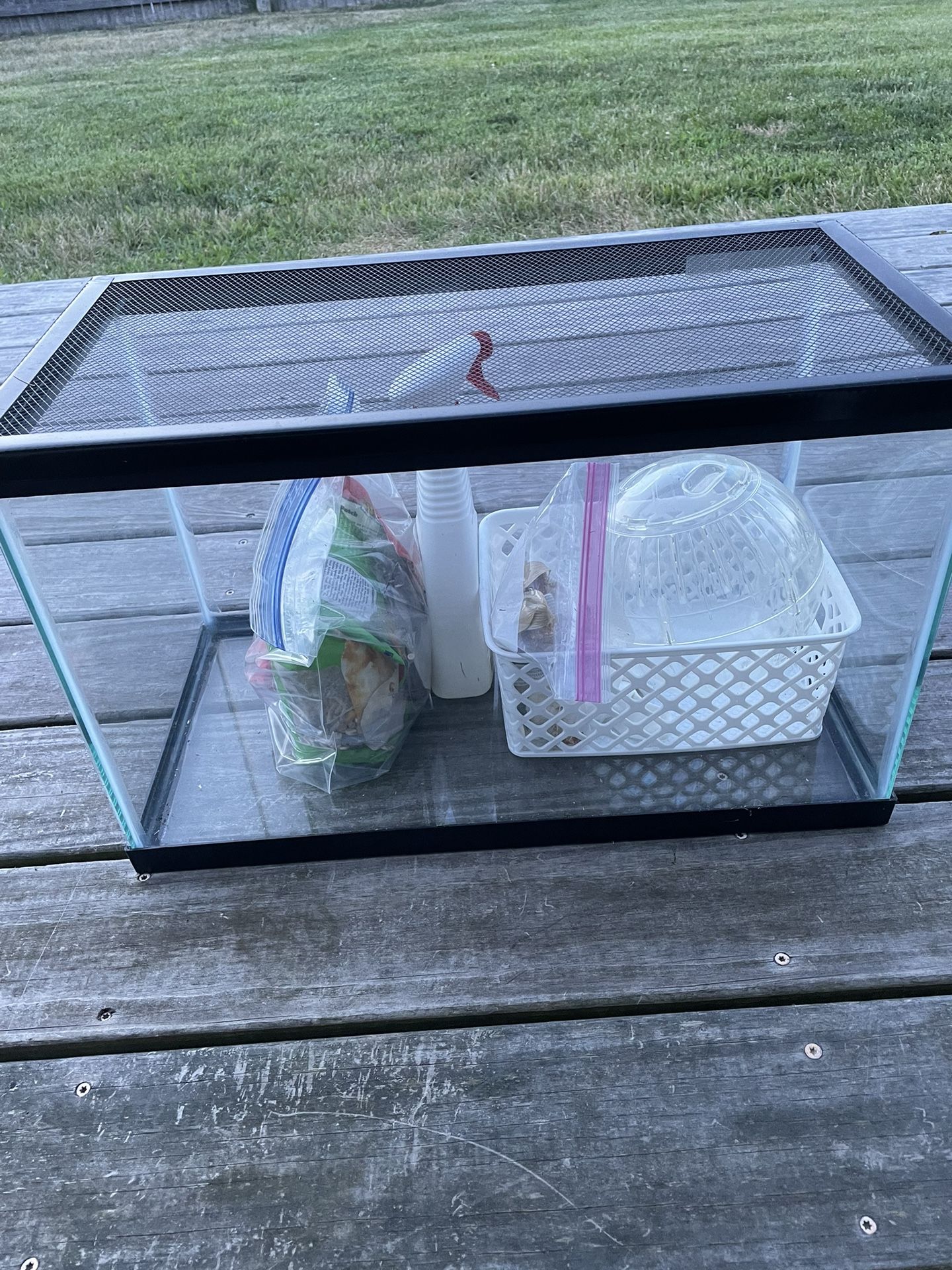 Reptile Tank