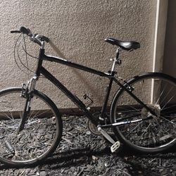 Diamondback Edgewood